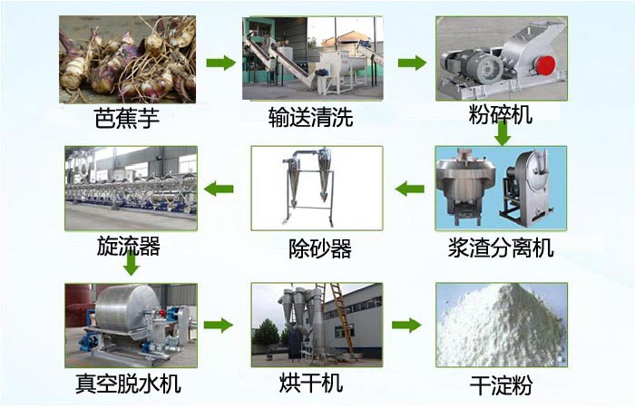 芭蕉芋加工流程图.jpg 芭蕉芋加工流程图.jpg
